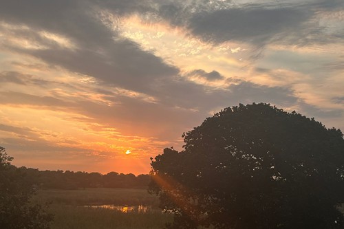 The Drunken Clam Ponta Malongane April 2025 (25)